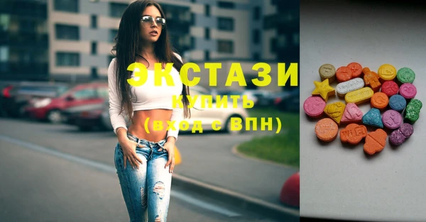 индика Дмитриев