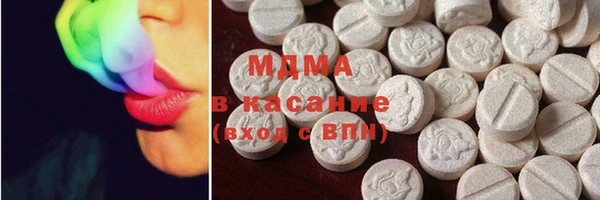 индика Дмитриев