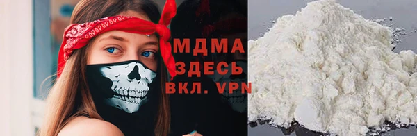 индика Дмитриев