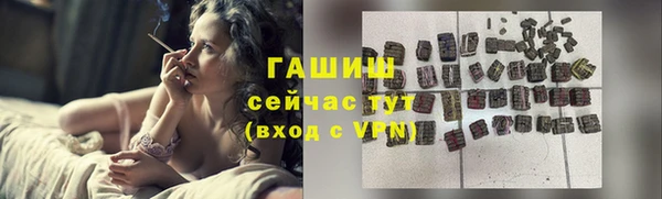 индика Дмитриев