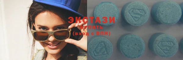 индика Дмитриев
