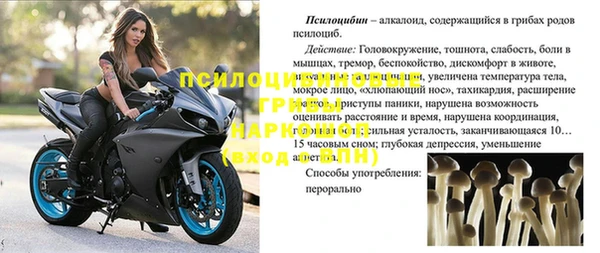 индика Дмитриев