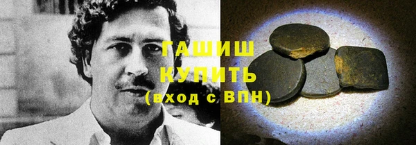 индика Дмитриев