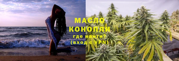 индика Дмитриев