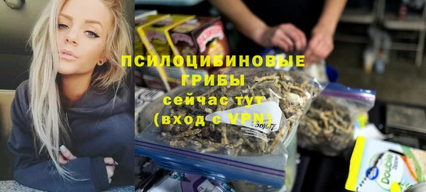 индика Дмитриев