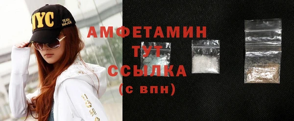 индика Дмитриев