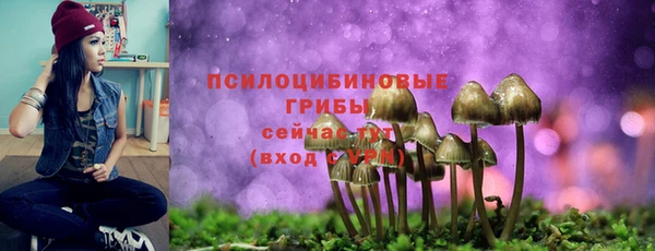 индика Дмитриев