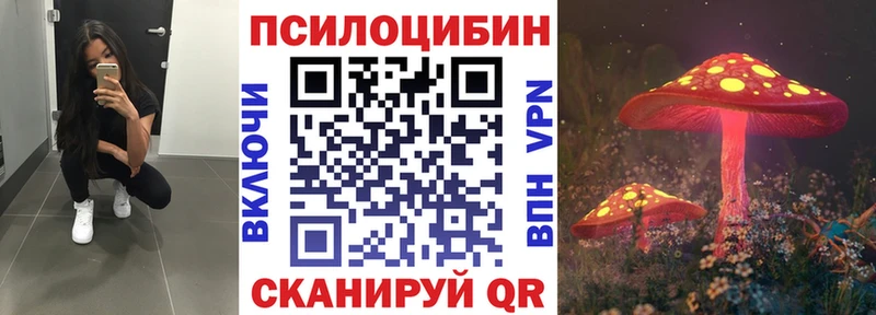 Псилоцибиновые грибы Psilocybe  Купить где  Чегем 